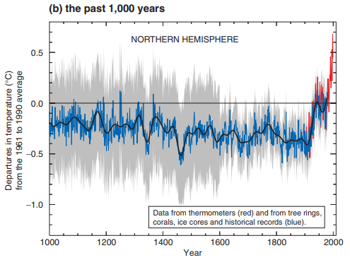 図1　ホッケースティック曲線　（IPCC 2001）http://www.ipcc.ch/ipccreports/tar/wg1/pdf/WG1_TAR-FRONT.PDF