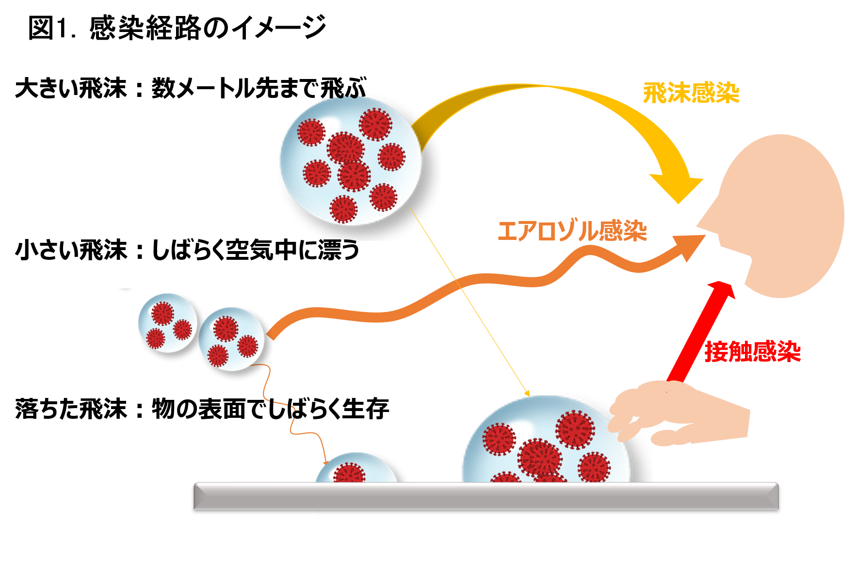胃腸炎の原因は何ですか?